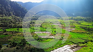 Aerial footage of a fields with shiny sun\'s light on the right side