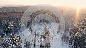 Aerial footage of flying between beautiful snowy trees in the middle of wilderness in Lapland Finland.