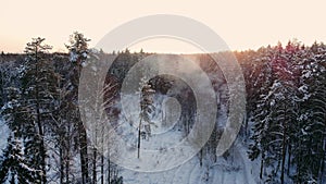 Aerial footage of flying between beautiful snowy trees in the middle of wilderness in Lapland Finland.