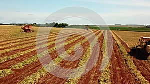 Aerial footage of mechanized harvesting on a farm in São Paulo Brazil