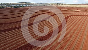 Aerial footage red soil farm plowing