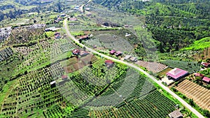 Aerial footage of a road way encircled by fields