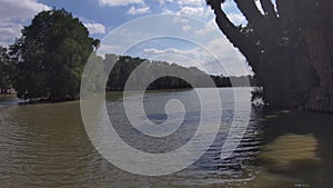 Aerial footage of the silky green rippling waters of Lake Evans surrounded by lush green trees, and plants with powerful clouds