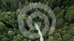 Aerial footage of a twisty road going through a green dense forest