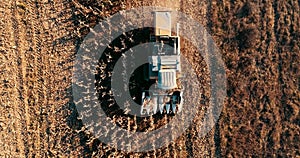 Aerial footage, view of combine harvester and details of autumn harvest of corn field