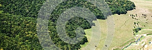 Aerial forest landscape view