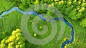 Aerial. Forest river estuary. Beautiful landscape.