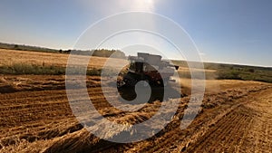 Aerial FPV drone view combine harvester agriculture machine harvesting golden ripe wheat field on sunny summer day