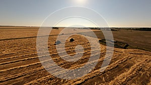 Aerial FPV drone view flying over two combine harvester agriculture machines harvesting golden ripe on wheat field at