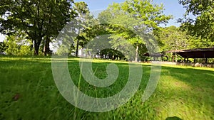 aerial FPV footage of a gorgeous summer landscape at Proctor Landing park with a lake, lush green trees, grass and plants