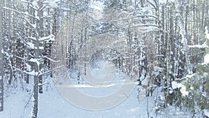 AERIAL Frozen winter forest dense, forest thicket, with nice snowfall and sun dolly zoom effect