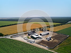 Aerial of grain elevator in front of wheat field. Drone photo above flour mill or oil extraction plant, seed plant