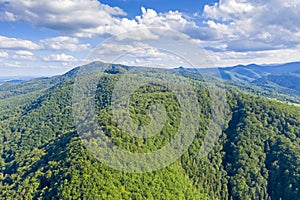 Aerial green forest trees