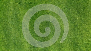 Aerial. Green grass texture background.