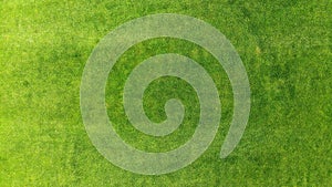 Aerial. Green grass texture background. Top view from drone