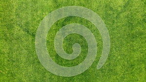 Aerial. Green grass texture background. Top view from drone