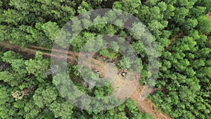 Aerial green jungle, top view, with a road, forest for ecosystem, environment background