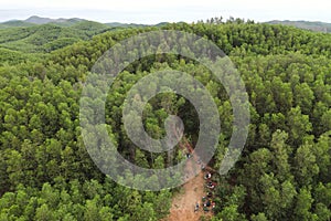 Aerial green jungle, top view, with a road in the middle, forest for ecosystem, environment background