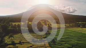 Aerial green rice terrace volcano mountain in sunset. Mayon Volcano in Legazpi C