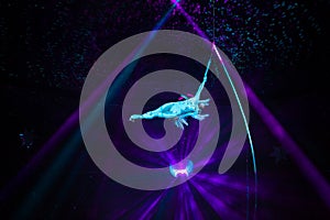 Aerial gymnast performance in the circus