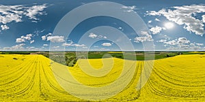 aerial hdri 360 panorama view over yellow rapseed canola colza fields in spring day with blue sky in equirectangular seamless