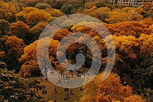 Aerial helicopter view of central park with picnicking people near manhattan skyscrapers in sunset photo