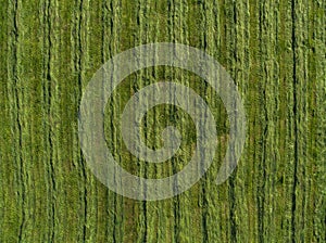 Aerial image of agriculture field