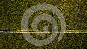 Aerial image of a biker on a mountain bike outdoors