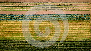 the aerial image is captured from a plane over a field of cultivated crops