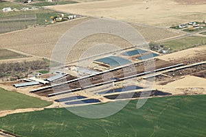 An aerial image of a cattle feed lot.