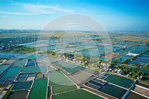 Aerial image of large shrimp breeding farms