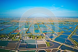 Aerial image of large shrimp breeding farms in  Giao Thuy, Vietnam.