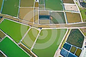 Aerial image of large shrimp breeding farms in  Giao Thuy, Vietnam.