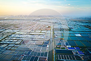 Aerial image of large shrimp breeding farms in  Giao Thuy, Vietnam.