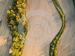 Aerial image of a lush green filed