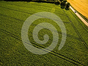 Aerial image of a lush green filed