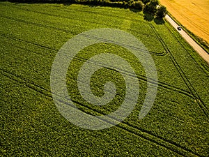 Aerial image of a lush green filed photo