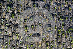 Aerial image showing typical vineyard culture viticulture landscape of Pico Island at CriaÃÂ§ÃÂ£o Velha and CandelÃÂ¡ria, Madalena photo