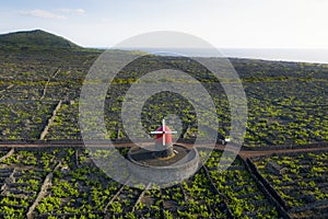 Aerial image showing typical vineyard culture viticulture landscape of Pico Island at CriaÃ§Ã£o Velha and CandelÃ¡ria, Madalena