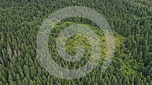 Aerial image of small clearance with low shrubs surrounded by mostly coniferous mountain forest. Location under High Tatras