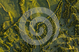 Aerial image of typical countryside landscape of Planalto da Achada central plateau of Ilha do Pico Island, Azores