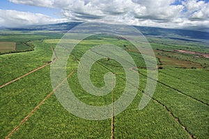 Aerial of irrigated cropland.