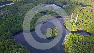 AERIAL: Lake surrounded by green forest, Summer, Sunshine