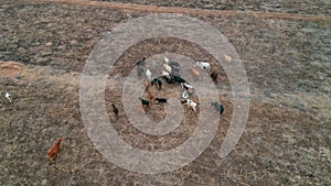 Aerial landdcape of the masaai land in Arusha, Tanzania