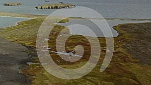 Aerial landscape of coastline Arctic Ocean on background Novaya Zemlya.