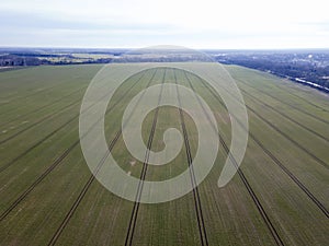 Aerial landscape of grassy meadow on the border of Marzahn and Brandenburg