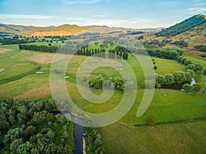 Aerial landscape of meadows and pastures of Mitta Mitta Valley n
