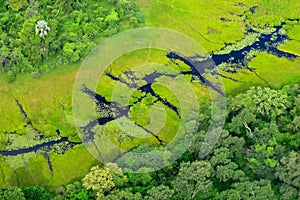 Aerial landscape in Okavango delta, Botswana. Lakes and rivers, view from airplane. Green vegetation in South Africa. Trees with w photo