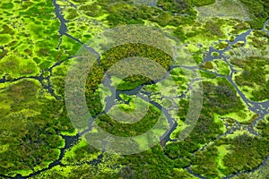 Aerial landscape in Okavango delta, Botswana. Lakes and rivers, view from airplane, UNESCO World Heritage site in South Africa. Gr