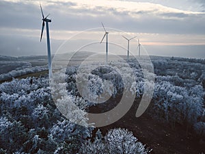 Aerial landscape photography of sunrise over frost-covered nature with wind turbines. Windmill in soft morning light